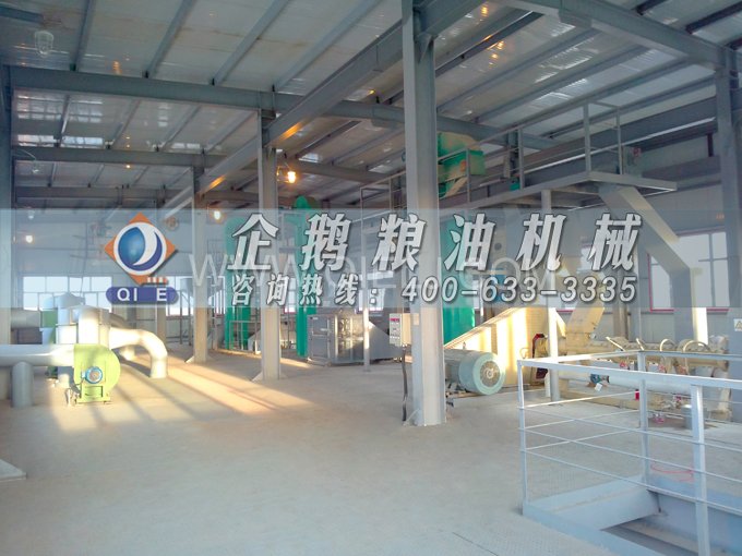 如何提取到高質(zhì)量的大豆油？一條企鵝浸出生產(chǎn)線就足夠了(圖2)